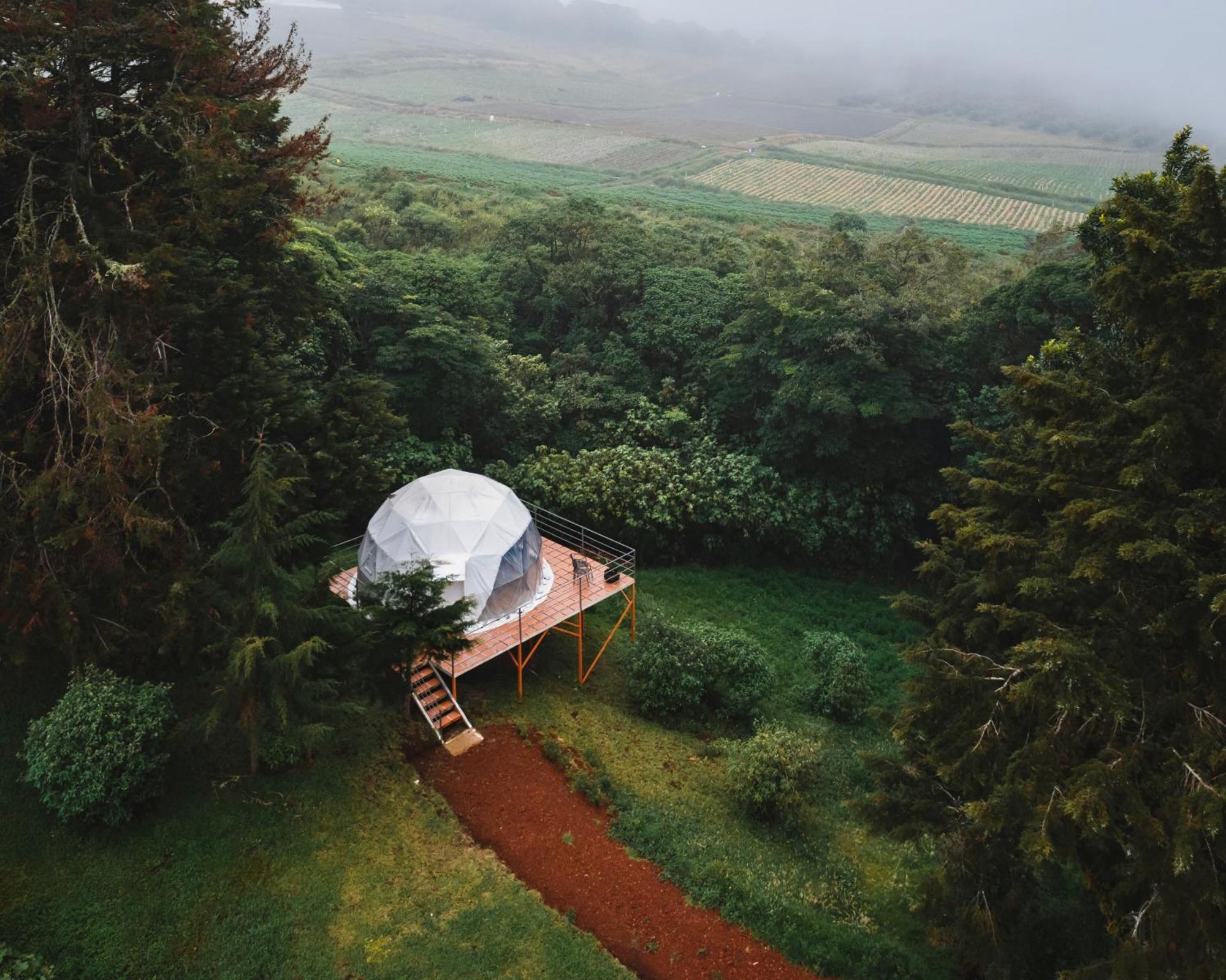 Green Noise Glamping Fraijanes Eksteriør billede