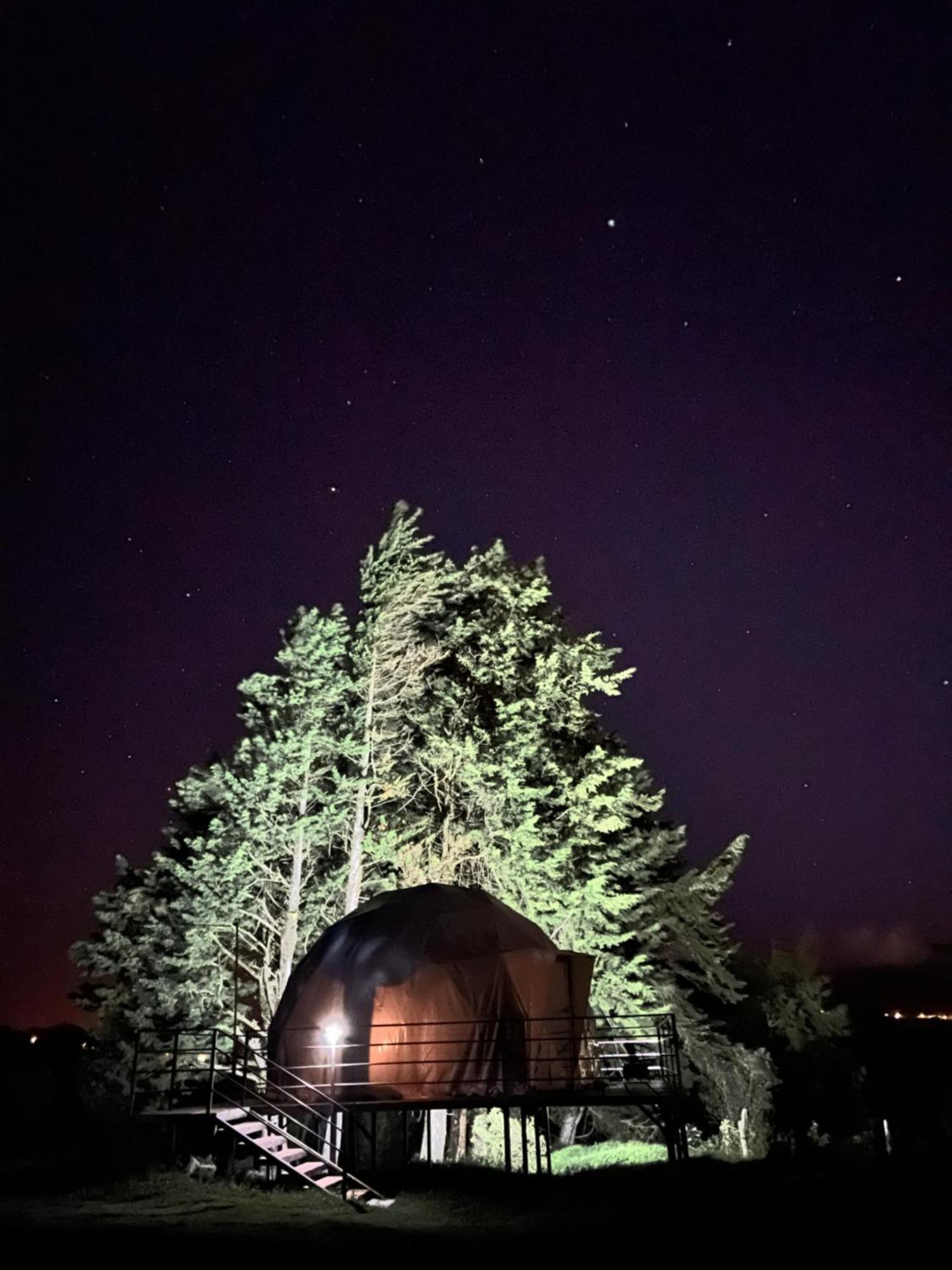 Green Noise Glamping Fraijanes Eksteriør billede